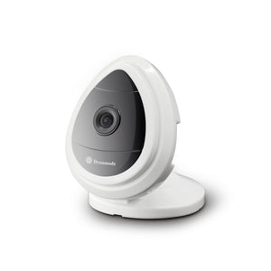 DYN-700 - 1.0MP IP Wireless Camera