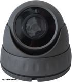 2.1MP 4 in 1 Grey Dome CCTV Camera